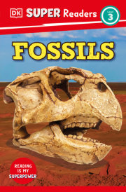 DK Super Readers Level 3 Fossils 
