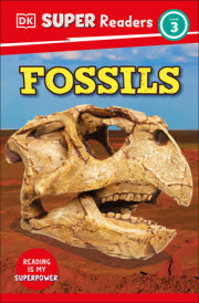 DK Super Readers Level 3 Fossils 
