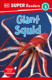 DK Super Readers Level 3 Giant Squid