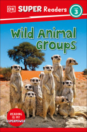 DK Super Readers Level 3 Wild Animal Groups 