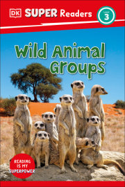 DK Super Readers Level 3 Wild Animal Groups 