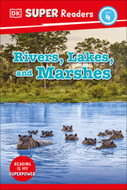 DK Super Readers Level 4 Rivers, Lakes, and Marshes 