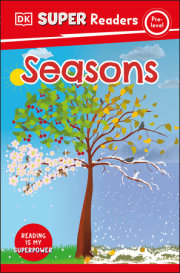 DK Super Readers Pre-Level Seasons 