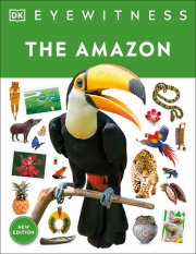 Eyewitness The Amazon