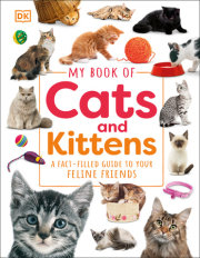 My Book of Cats and Kittens 