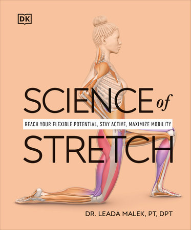 Full Body Stretching Routine: Stretch Yourself Healthy - Prevention Shop