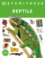 Eyewitness Reptile 