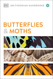 Handbook of Butterflies and Moths