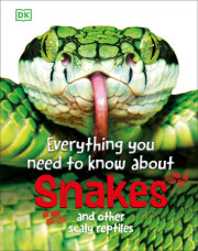 Everything You Need to Know About Snakes 