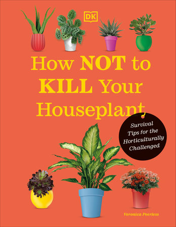 The Beginner's Houseplant Trick to Keep Your Plants Alive and Happy - That  Planty Life