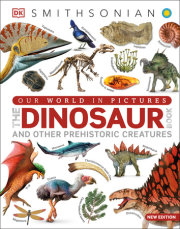 Our World in Pictures The Dinosaur Book 