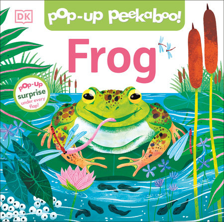 Tadpole To Frog Book