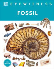 Eyewitness Fossil 