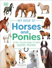 My Book of Horses and Ponies 