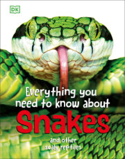 Everything You Need to Know About Snakes