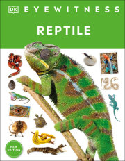 Eyewitness Reptile 