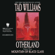 Otherland 3: Mountain of Black Glass 