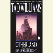 Sea of Silver Light 