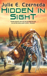 Hidden in Sight 