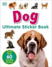 Ultimate Sticker Book: Diggers and Dumpers: More Than 60 Reusable  Full-Color Stickers - Imagination Toys