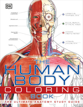 The Human Body Coloring Book By Dk 9780756682347 Penguinrandomhouse Com Books