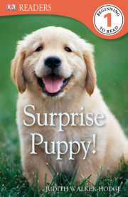 DK Readers L1: Surprise Puppy 