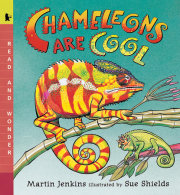 Chameleons Are Cool 