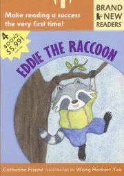 Eddie the Raccoon 