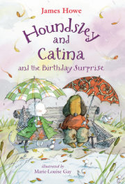 Houndsley and Catina and the Birthday Surprise 