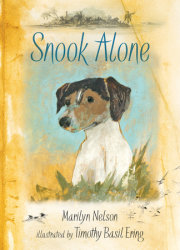 Snook Alone 