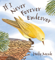 If I Never Forever Endeavor 