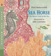 Sea Horse: The Shyest Fish in the Sea 