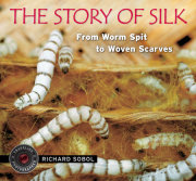 The Story of Silk 