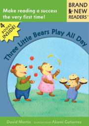 Three Little Bears Play All Day 