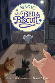Magic at the Bed and Biscuit 
