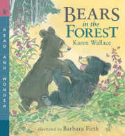 Bears in the Forest