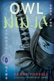 Samurai Kids #2: Owl Ninja 