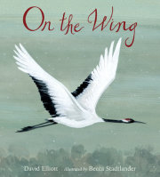 On the Wing 