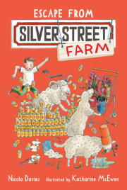 Escape from Silver Street Farm 