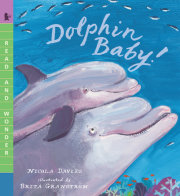 Dolphin Baby! 