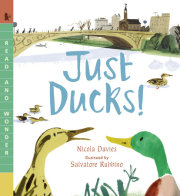 Just Ducks! 