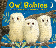 Owl Babies 
