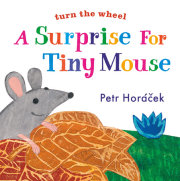 A Surprise for Tiny Mouse