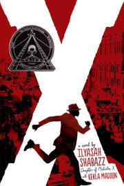 X: A Novel 