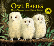 Owl Babies 