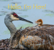 Hello, I'm Here! 