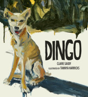 Dingo 