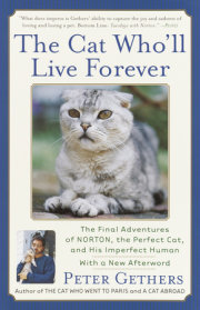 The Cat Who'll Live Forever 