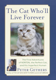 The Cat Who'll Live Forever 