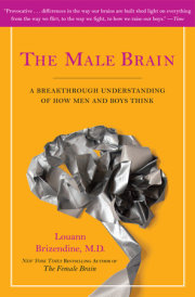 The Male Brain 